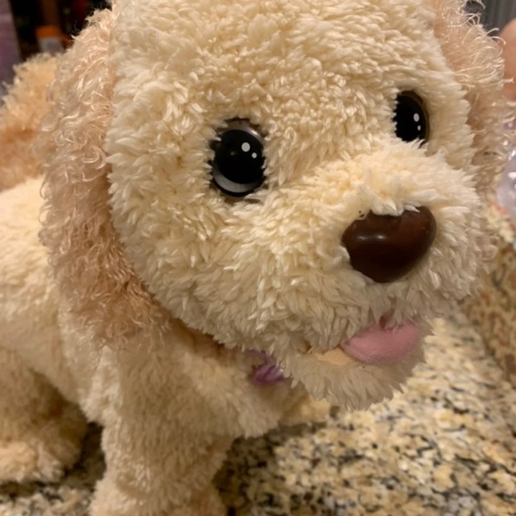 Fisher Price Puppy Grows and Knows Your Name Retriever - Picture 1 of 3